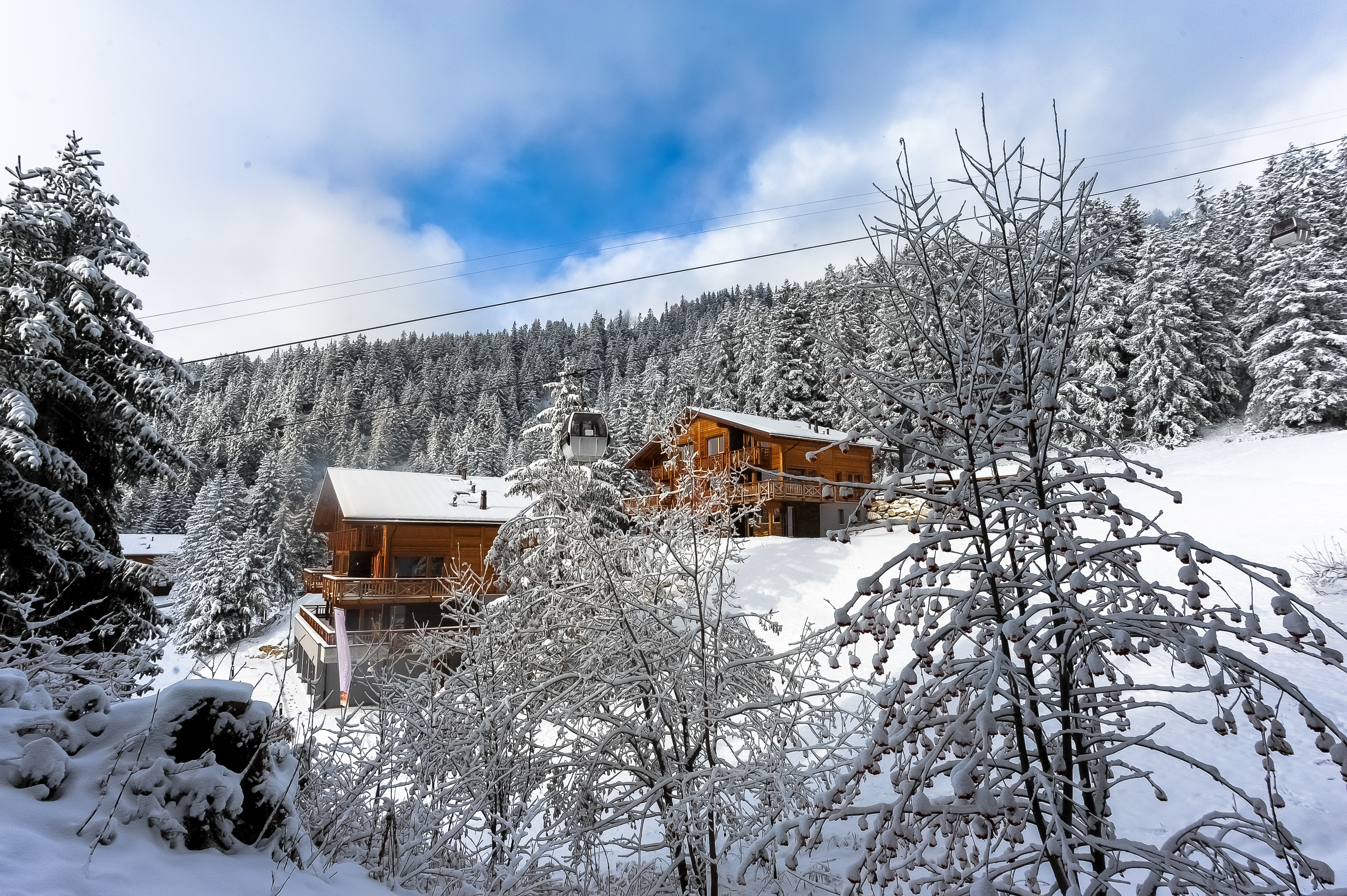 Chalet Vieux Bisse